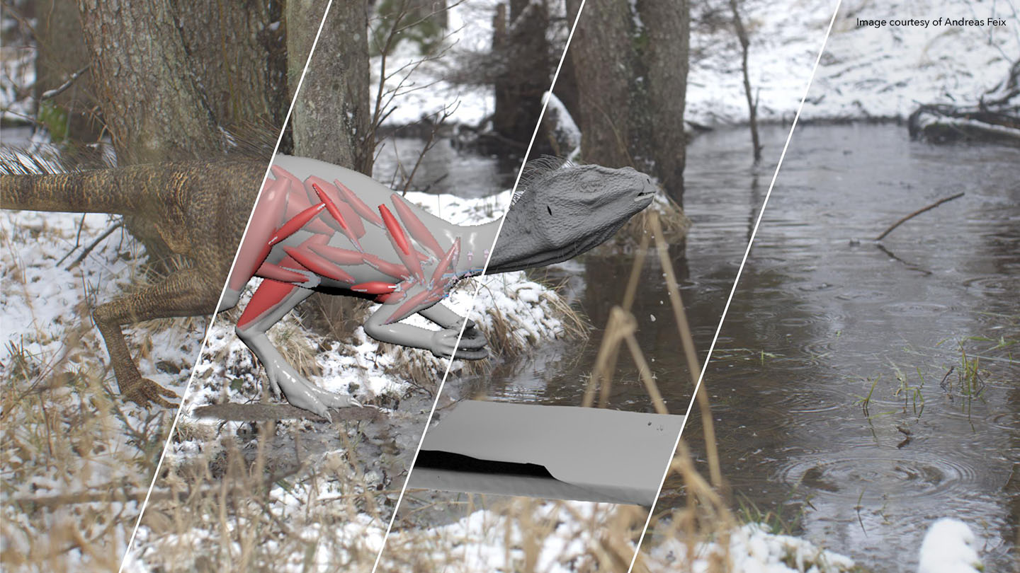 VFX breakdown from We Hunt Giants