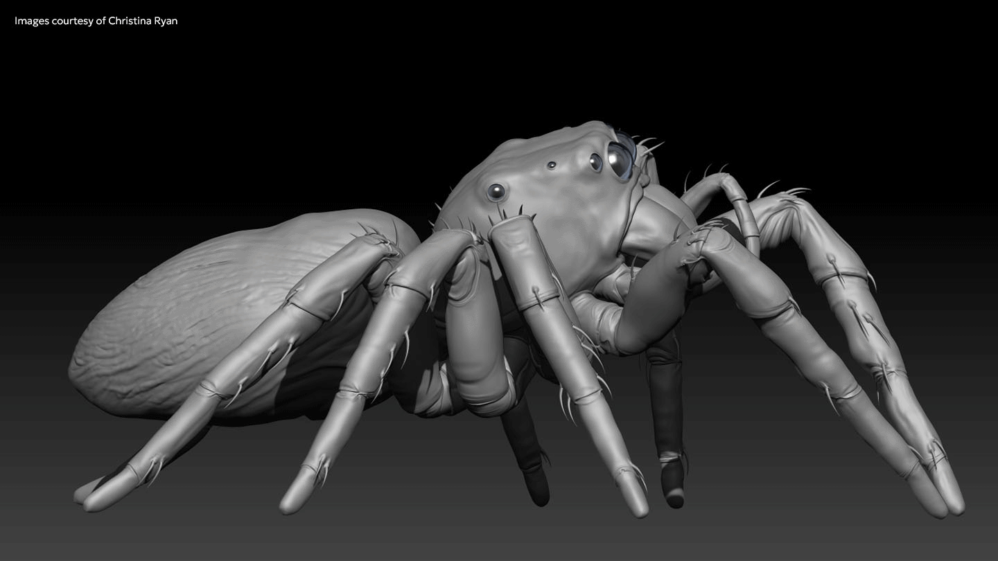 Mari 8.0 splash screen spider render of raw sculpt