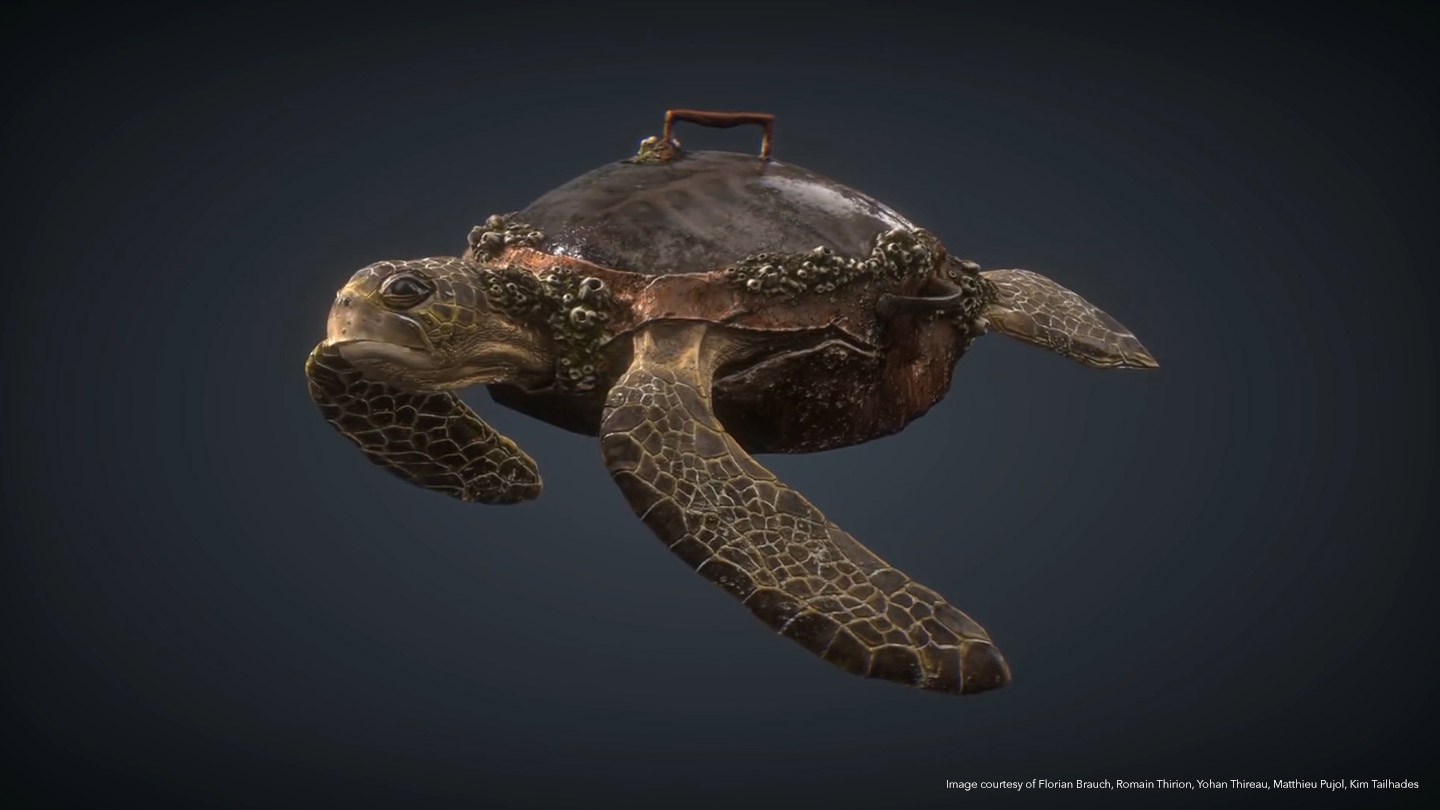 Turtle in 3D