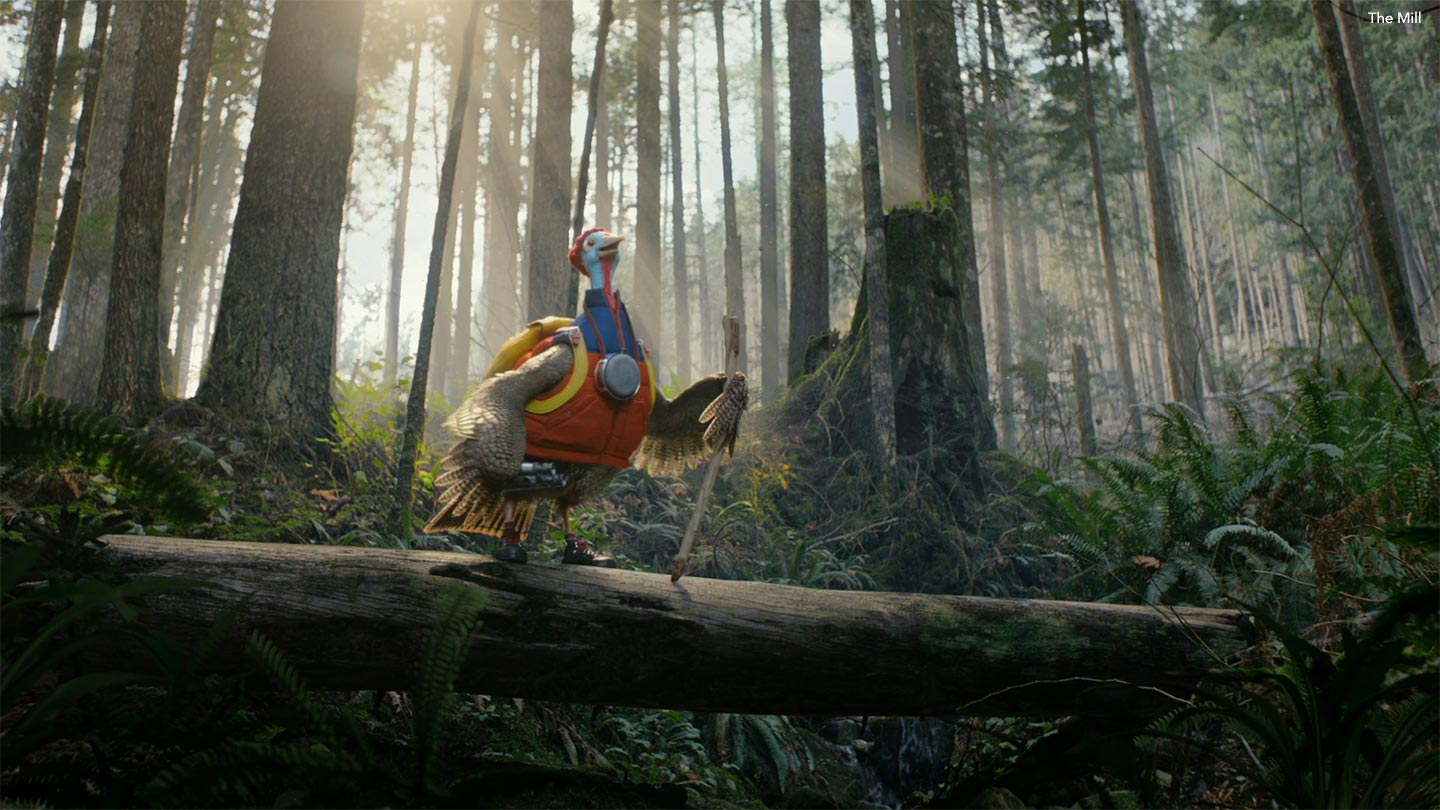 Turkey in 3D walking in forest