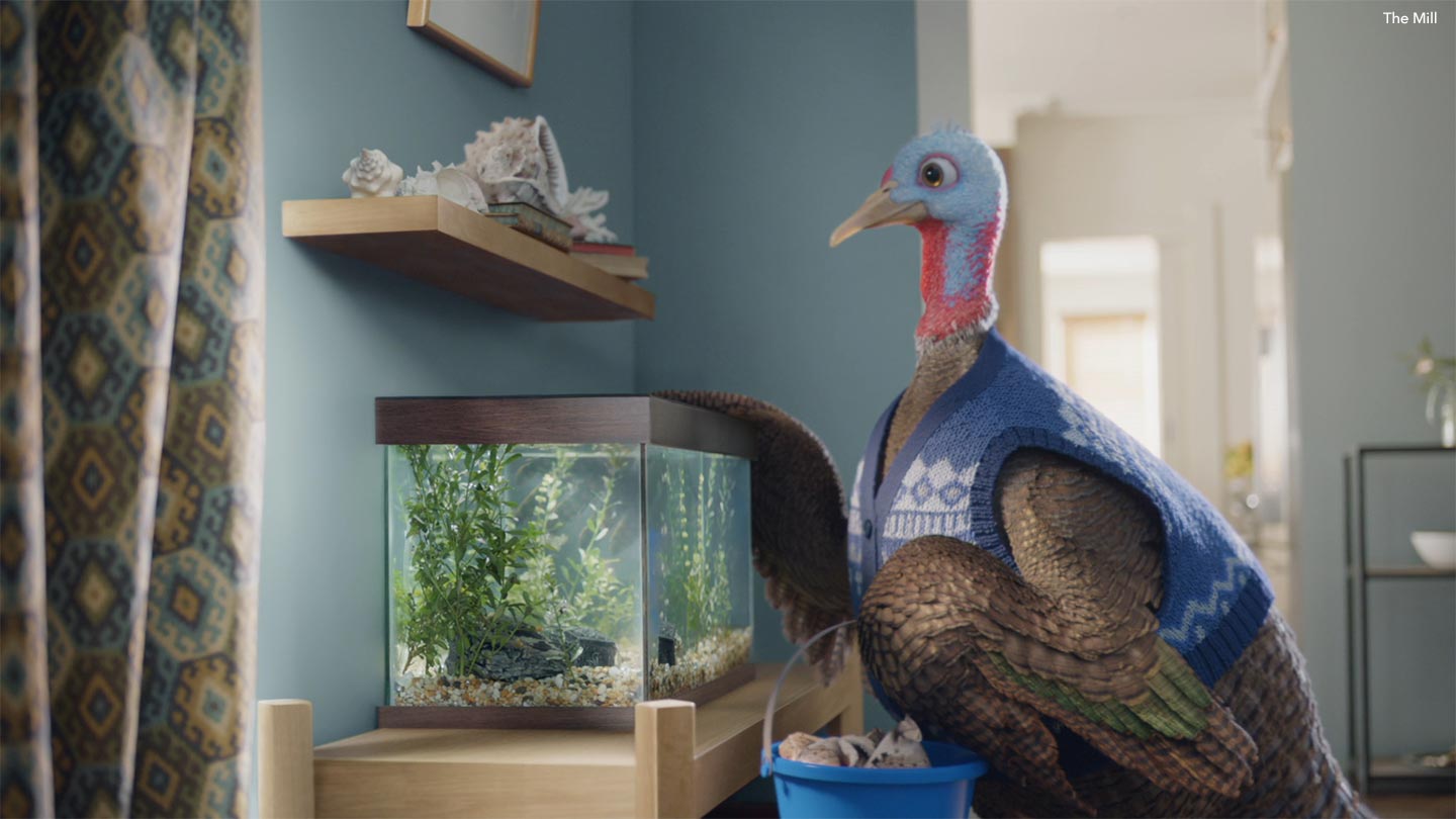 Turkey and aquarium