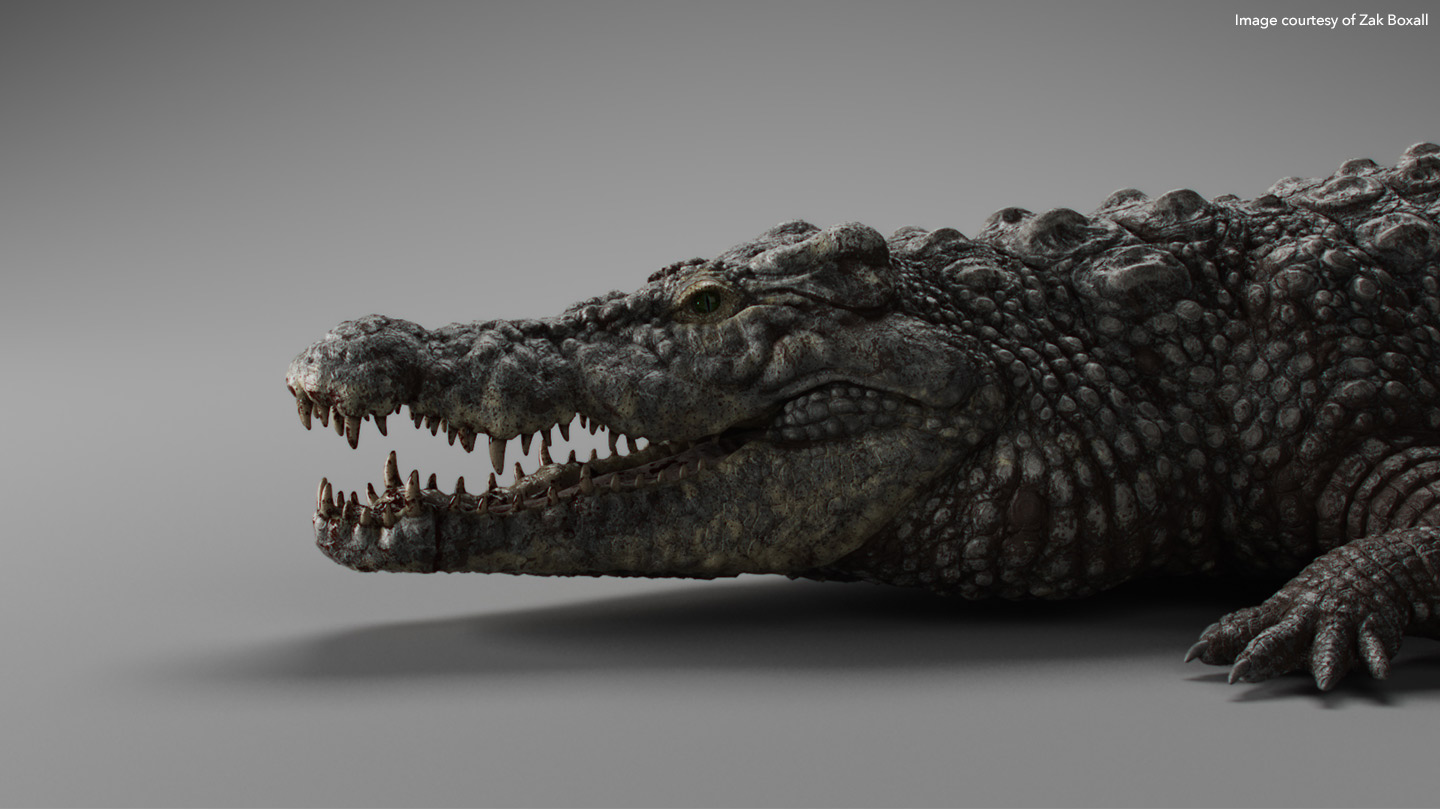 3D textured alligator