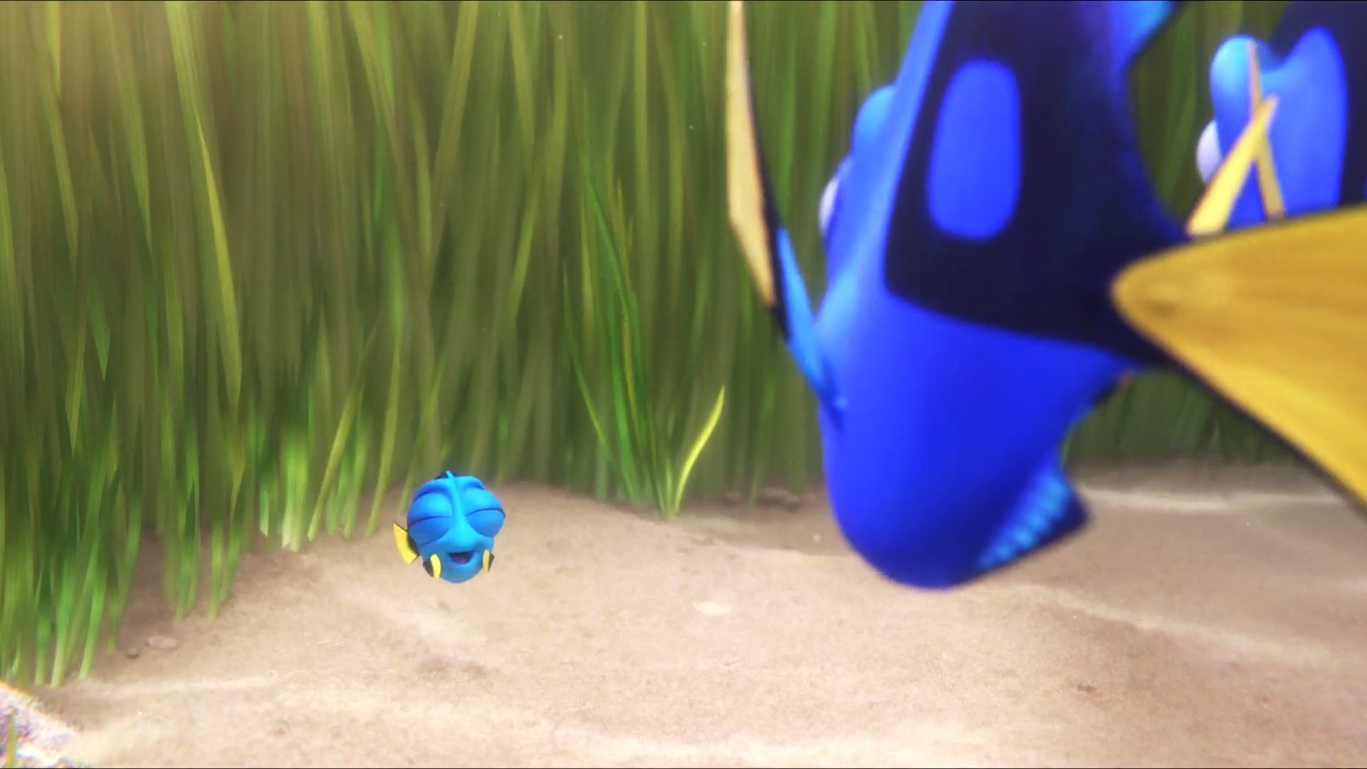Behind the scenes of Finding Dory and the software that helped make it