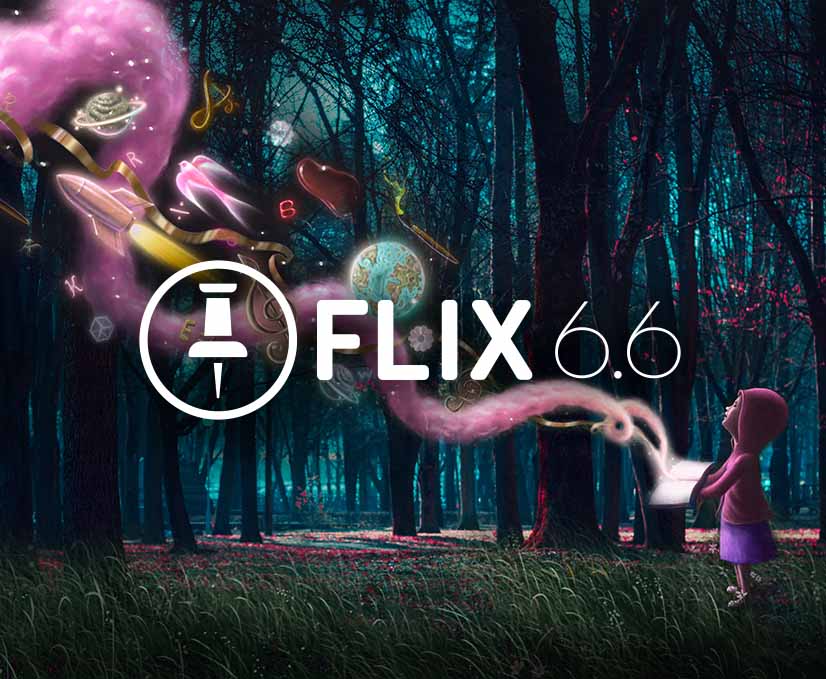 Flix 6.6