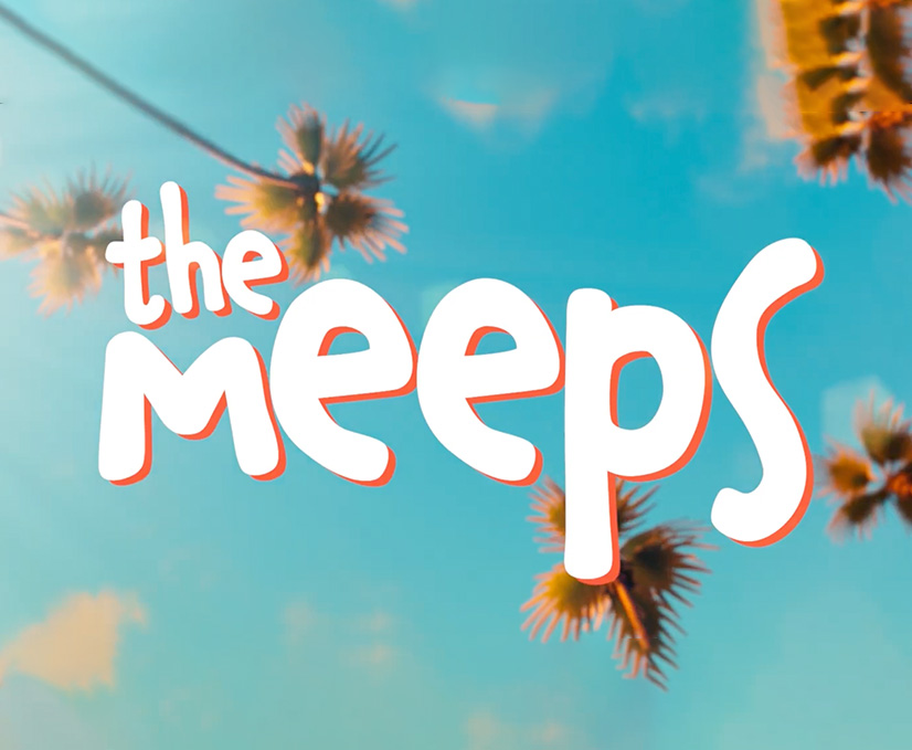 the meeps case study