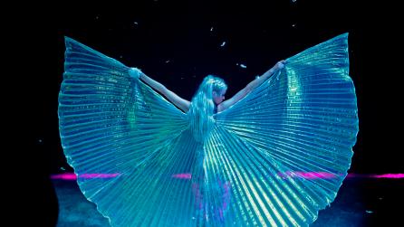 humminbird case study