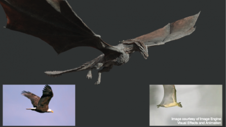 Dragon comparison eagle bat