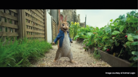 Rabbit in garden blue jacket