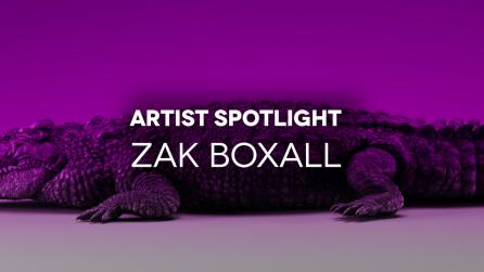 Zak Boxall header featuring 3D textured aligator