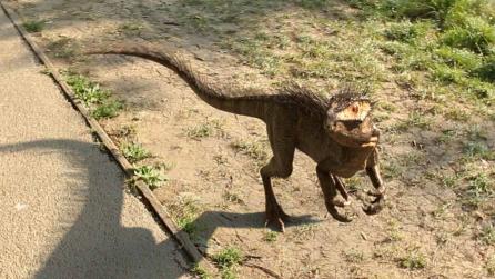 3D CG dinosaur made in Nuke