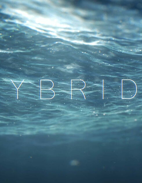 Hybrid