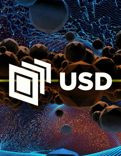 USD explainer guide