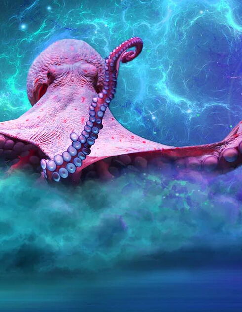 What skills do you need as a Junior Compositor - Header
