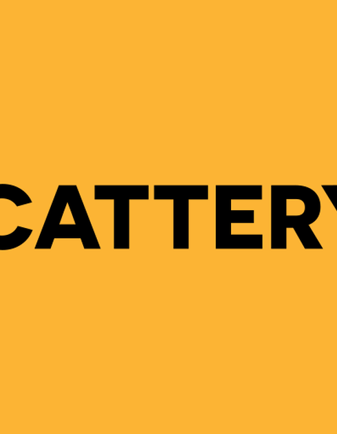 The artists’ guide to Cattery 