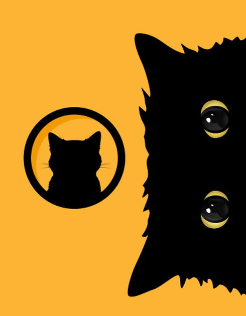 The artists’ guide to Cattery 