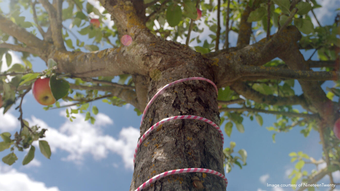 Tree Robinsons advertising made with Nuke Studio