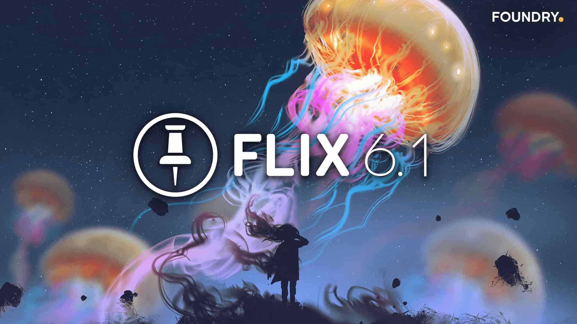 Flix 6.1 release 
