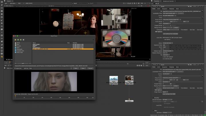 Camera File Format and Monitor Out SDK Updates