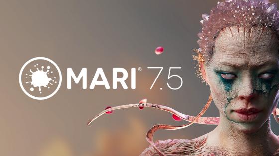 Mari 7.5 hero image
